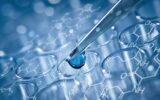 Scientists Identify New Way to Expand Stem Cells