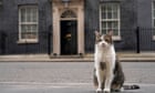 Starmer leads with compromise for new family pet – and gets ‘dog-like’ cat
