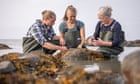 The Danish island of seaweed cottages, salt and seafood