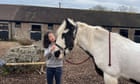 How I learned to ‘be more horse’ on a wild Sussex retreat