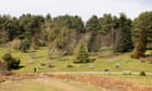‘A tree zoo’: endangered conifers a living legacy of Kent pinetum’s centenary
