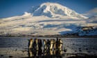 Trump imposes tariffs on uninhabited Heard and McDonald Islands near Antarctica