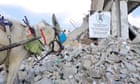 ‘The last thread connecting people to services’: why vets are risking all to care for Gaza’s donkeys