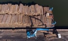 Sanctioned Russia and Belarusian wood being smuggled into UK, study suggests