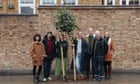‘It will be beautiful to see our kids grow up with this’: how communities around the world are planting trees