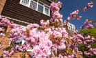 UK mortgages: warning over big fees as homebuying season arrives