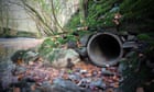 Water companies’ pollution incidents in England increased by 30% in 2024