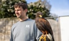 Man catches Hertfordshire hawk that attacked villagers for weeks