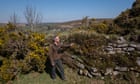Like the Ritz for wildlife: the joy of recreating England’s ancient hedges