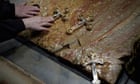 ‘They are trying to make it unbearable’: Jerusalem Christians face Easter under Israeli crackdown