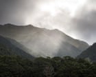 Myth or mystery: are moose roaming the isolated wilds of New Zealand?