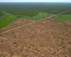 ‘We are witnessing ecocide’: Santander accused of funding vast deforestation