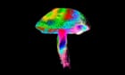 The ancient psychedelics myth: ‘People tell tourists the stories they think are interesting for them’