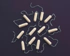 Toxic pesticide levels found in tampons 40 times higher than legal limit for water