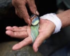 ‘We sometimes milked 3,000 snails a day!’: the dying art of milking molluscs