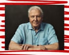 Six great reads: the ‘misogyny slop ecosystem’, Attenborough at 99, and the pain of Ticketmaster