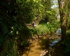 Pesticides, antibiotics, animal medicines: the chemical cocktail seeping into our rivers