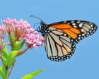 The incredible world of animal medicine – podcast