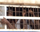 Inside Kondengui prison: ground zero of Cameroon’s war on dissent