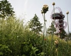 Half of UK councils still use pesticides in public places, research finds