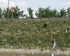 How a £1.5bn ‘wildlife-boosting’ bypass became an environmental disaster