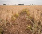 ‘Climateflation’ could push up UK food prices by more than a third by 2050, report says