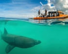 20 family nature holidays in the UK – from kayaking to stargazing and whale watching