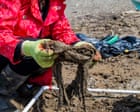 Make wet wipe producers pay for polluting England’s waterways, says report