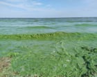 UK’s largest lake faces environmental crisis as rescue plans stall