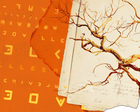 The killing code: strange symbols in a WA settler’s diaries lay bare frontier atrocities