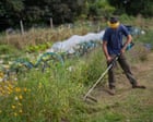 ‘A natural antidepressant’: how working with the land is helping ex-prisoners