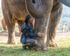 The elephant whisperer: one Thai woman’s lifelong quest to protect a rescued herd