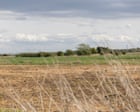 Nature loss will cut UK GDP by 5% without action from private sector, say experts