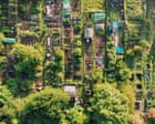 North-east of England is best region in Great Britain for allotments, report finds