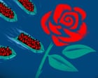 I went home, to one of Labour’s safest seats, and it felt like a newly minted Reform constituency | Kirsty Major