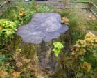 Artists given chance to use wood from felled Sycamore Gap tree