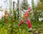 How a radical experiment to bring a forest into a preschool transformed children’s health