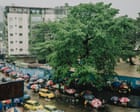 ‘The soul of the city’: can Kinshasa’s last remaining baobab tree be saved?