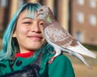 Pooping menaces or ‘flying puppies’? How pigeons are dividing a UK city