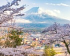 Japan cherry blossom festival cancelled because of unruly tourist ‘crisis’