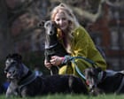 Green MP: Labour caricatures working-class people over greyhound racing