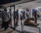 ‘This scene is alive’: Abidjan art week showcases city as growing cultural hub