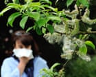 The climate crisis is making our hay fever worse – and affecting our enjoyment of nature