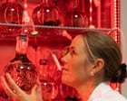 ‘Living library’: inside the marine biobanks racing to protect ocean species from extinction