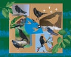 Listen to Britain’s dawn chorus of 1976: the dramatic loss of birdsong in 50 years
