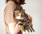 The unsettling rise of cat seducers: ‘My little companion was missing – and I was consumed with anger’